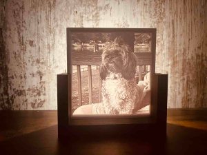 Personalized Photo 3d Printed