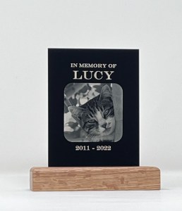 Sign Made in Usa of Pet Passed Rainbow Bridge